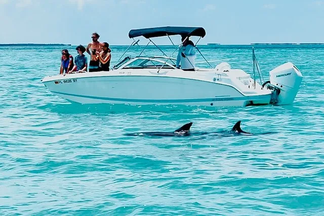 Key West Dolphin & Snorkeling Tour - Small Group - Image 2