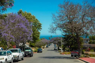 Los Angeles to Santa Barbara Chauffeur Transfer