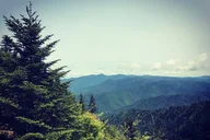 Clingmans Dome Hike thumbnail 3