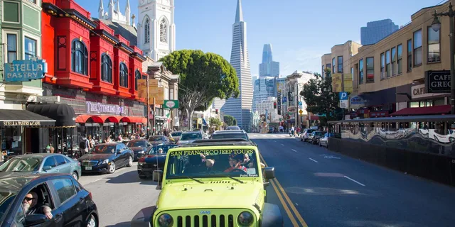 San Francisco City and Muir Woods Private Tour 7 hr - Image 2