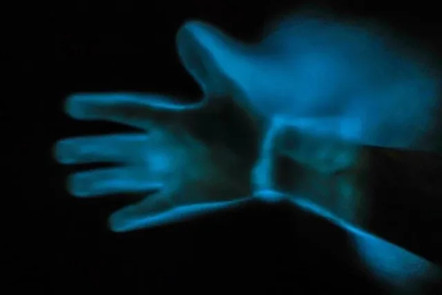 Kiwanis Island Bioluminescence Kayak Tour - Image 6