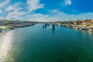 Newport Beach Champagne Brunch Cruise thumbnail 6