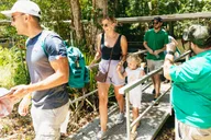 New Orleans Bayou Tour in Jean Lafitte National Park thumbnail 6