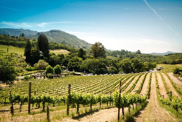 Sonoma Self-Guided Tasting Tour - Image 3