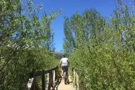 Breckenridge Fat Bike Beer & Distillery Tour thumbnail 3