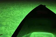 Sarasota Glass Bottom Kayak Night Tour thumbnail 5