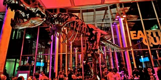 San Francisco NightLife at California Academy of Sciences