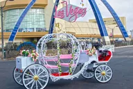 Las Vegas Carriage Wedding Ceremony thumbnail 1