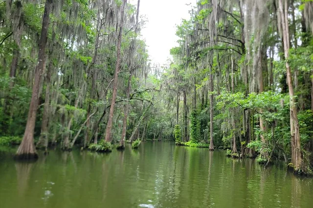 Tavares Kayak or Paddleboard Rental on Dora Canal - Image 2
