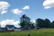 Philadelphia Brandywine Valley and Longwood Gardens Tour 4 hr thumbnail 6