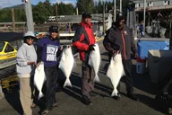 Ketchikan Halibut Fishing Charter thumbnail 3