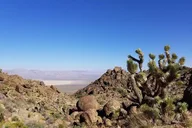 Las Vegas Road Bike Tour of Red Rock Canyon thumbnail 3