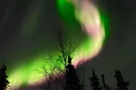 Fairbanks Northern Lights Lodge Tour 5 hr thumbnail 6