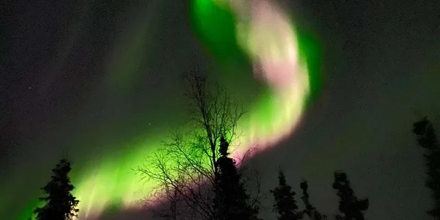 Fairbanks Northern Lights Lodge Tour 5 hr - Image 6