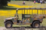 San Luis Obispo Eagle and Birdwatching Tour by Hummer 1.5 hr thumbnail 2