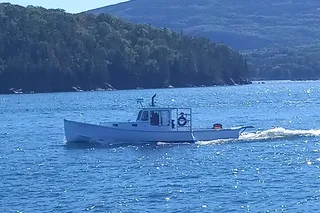 Frenchman Bay Sightseeing Charter