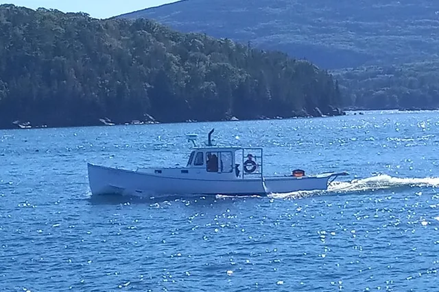 Frenchman Bay Sightseeing Charter - Image 1