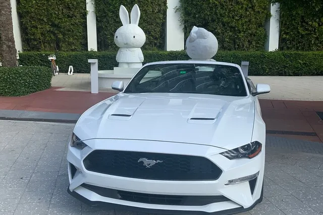 Miami Mustang Convertible Rental - Image 4