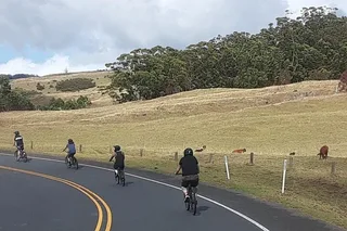 Maui Haleakala Unguided Downhill Bike Tour 4 hr