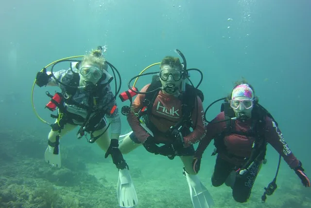 Key Largo SCUBA Dive for Certified Divers 3 hr - Image 6