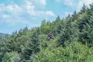 Bristol Zipline Canopy Activity 3 hr thumbnail 1