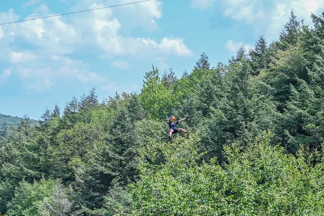 Bristol Zipline Canopy Activity 3 hr - Image 1