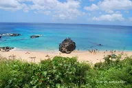 Oahu E-Bike and Snorkel Adventure thumbnail 6