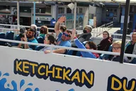 Ketchikan Duck Tour 90 Min thumbnail 4