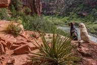 Arkansas River Rafting Tour - The Numbers thumbnail 5