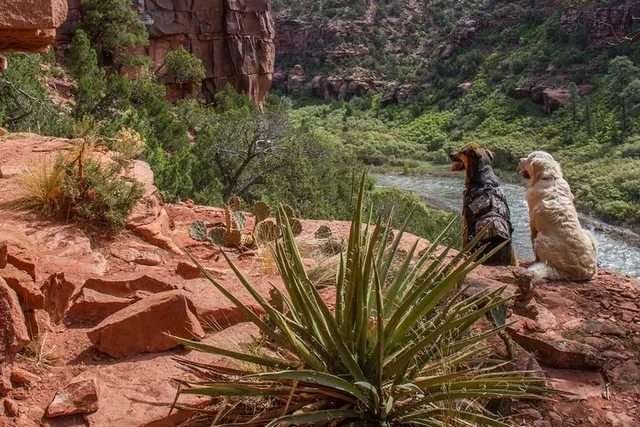 Arkansas River Rafting Tour - The Numbers - Image 5