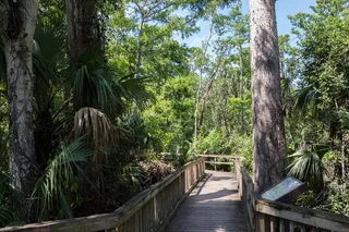 Big Cypress National Preserve Self-Guided Audio Tour