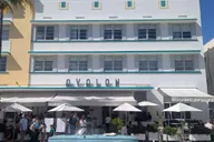 Miami South Beach, Design District & Wynwood French Tour thumbnail 3