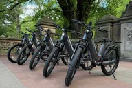 New York City Electric Bike Tour of Central Park thumbnail 5
