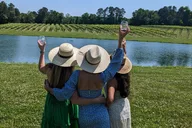 Yadkin Valley Vineyard Tour thumbnail 4