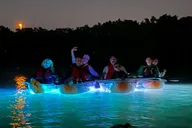 Tampa Clear Kayak Night Tour thumbnail 1