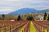 San Francisco Napa and Sonoma Wine Tour thumbnail 2