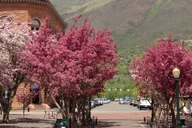 Aspen History Walking Tour thumbnail 2