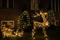 New York City Dyker Heights Christmas Lights Tour thumbnail 6
