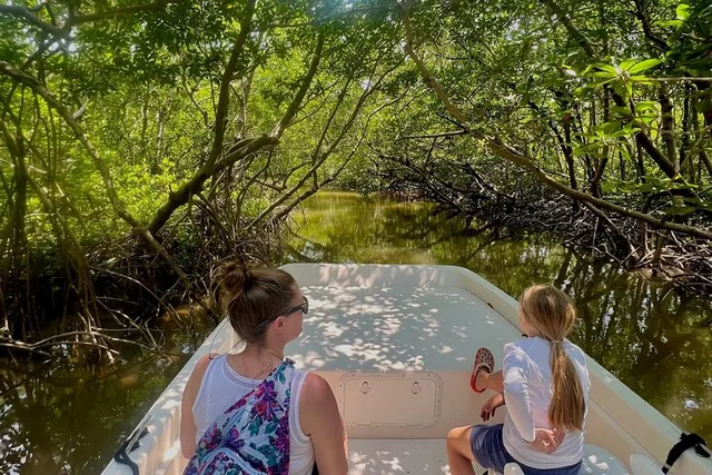 Everglades Mangrove Wilderness Boat Tour - Image 6