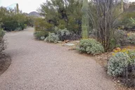 Tucson Sonoran Desert Tour with Museum Ticket thumbnail 3