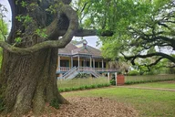 New Orleans Laura Plantation Tour with Transportation thumbnail 1