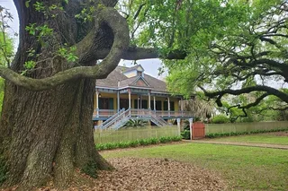New Orleans Laura Plantation Tour with Transportation