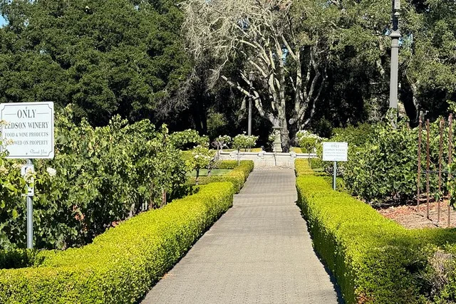 Napa Valley Wine Tour with Private Car Service - Image 4