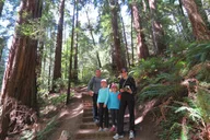 San Francisco Muir Woods & Sausalito Private Tour thumbnail 5