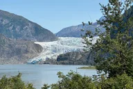 Juneau Mendenhall Glacier and Whale Watching Tour thumbnail 6