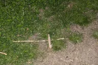 Gettysburg Evening Paranormal Investigation thumbnail 5