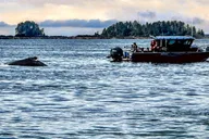 Sitka Land & Sea Wildlife Tour with Meal thumbnail 2