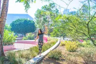 Los Angeles Celebrity Homes and Film Locations Tour thumbnail 1
