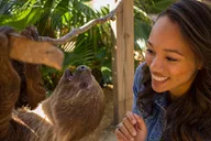 Orlando Wildlife Park and Gator Show thumbnail 6