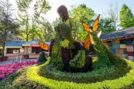 Pigeon Forge Dollywood & Splash Country Combo Ticket thumbnail 3